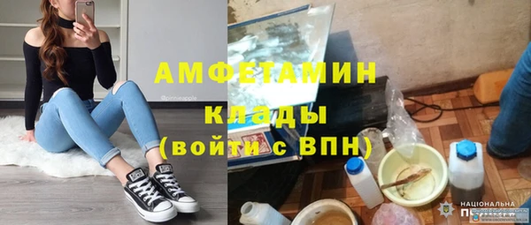 спиды Болотное