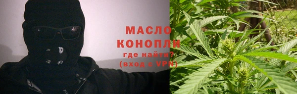 молекула духа Новозыбков