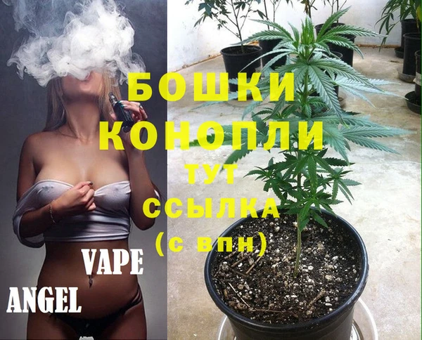 молекула духа Новозыбков