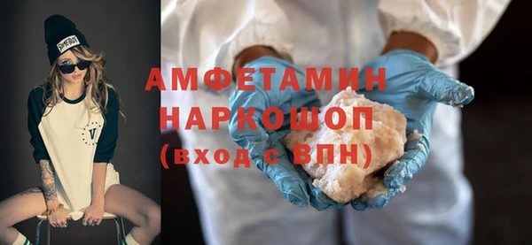 молекула духа Новозыбков