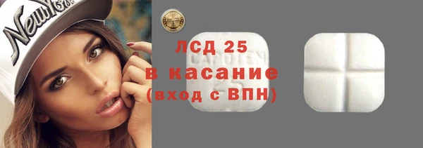 спиды Болотное