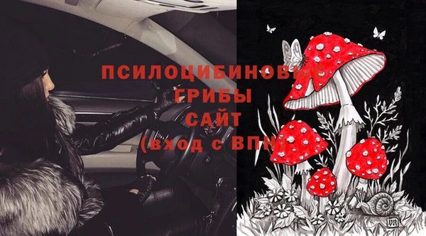 молекула духа Новозыбков