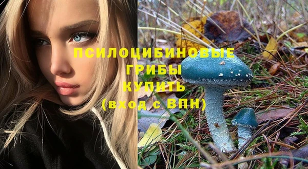 твердый Новокубанск