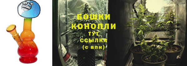 твердый Новокубанск
