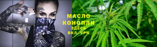 молекула духа Новозыбков