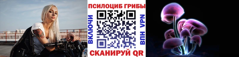 Псилоцибиновые грибы Psilocybe  купить  сайты  Новомосковск 